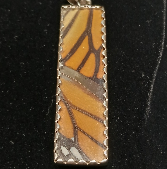 Real Butterfly wings in Sterling Silver Necklace- Nature's Jewels - Picture 5 of 9